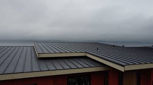 Best Metal Roofing Installation  in Arlington, NE